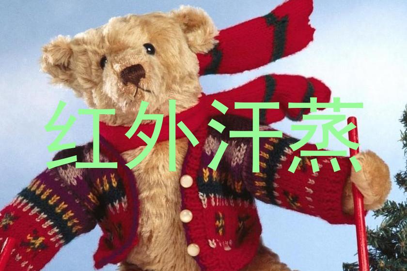红外汗蒸