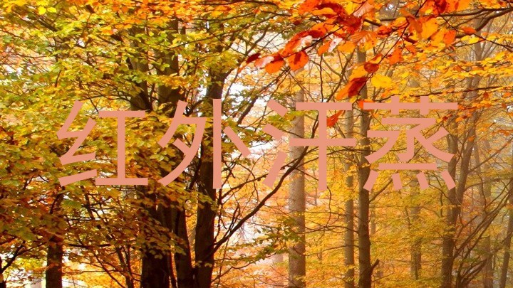 红外汗蒸