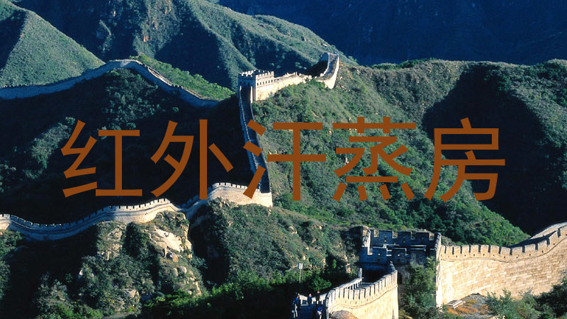 红外汗蒸房