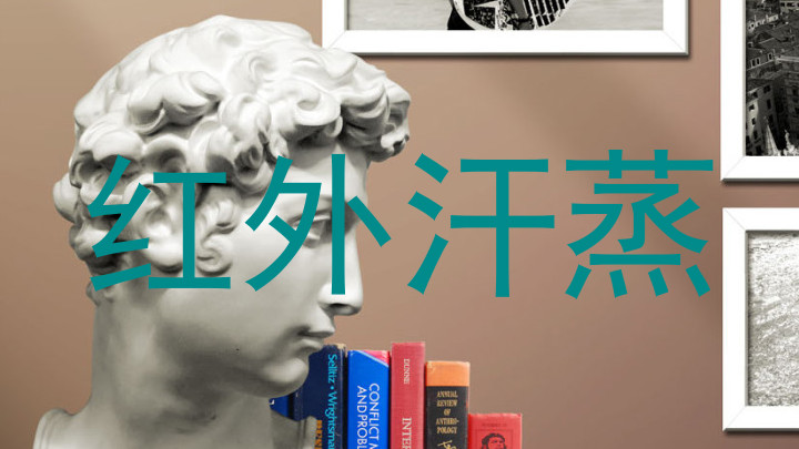 红外汗蒸