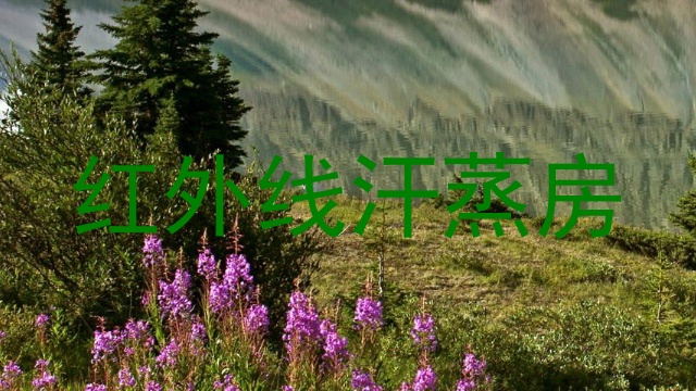 红外线汗蒸房