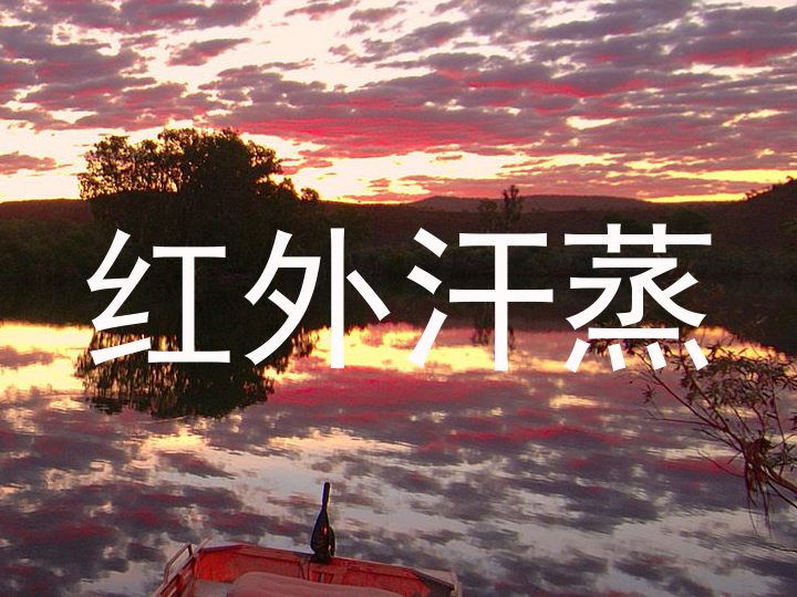红外汗蒸