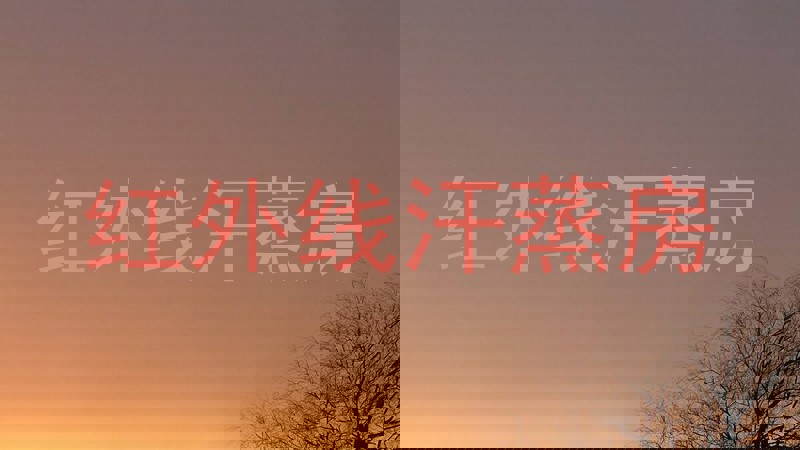 红外线汗蒸房