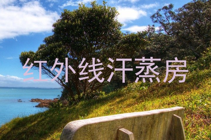红外线汗蒸房