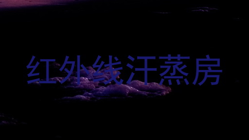 红外线汗蒸房