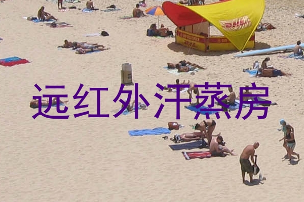 远红外汗蒸房