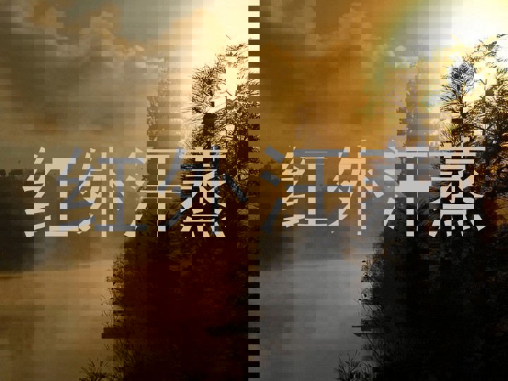 红外汗蒸