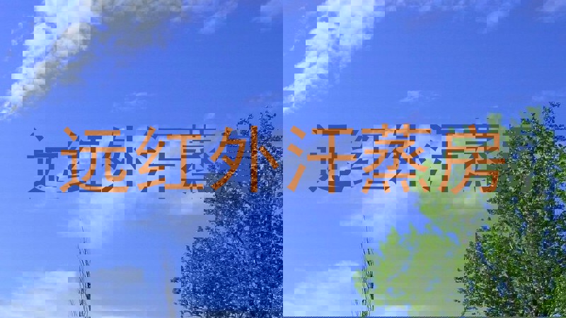 远红外汗蒸房