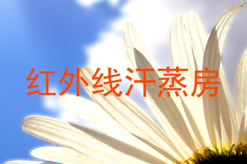 红外线汗蒸房
