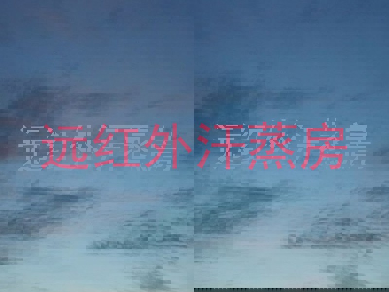 远红外汗蒸房