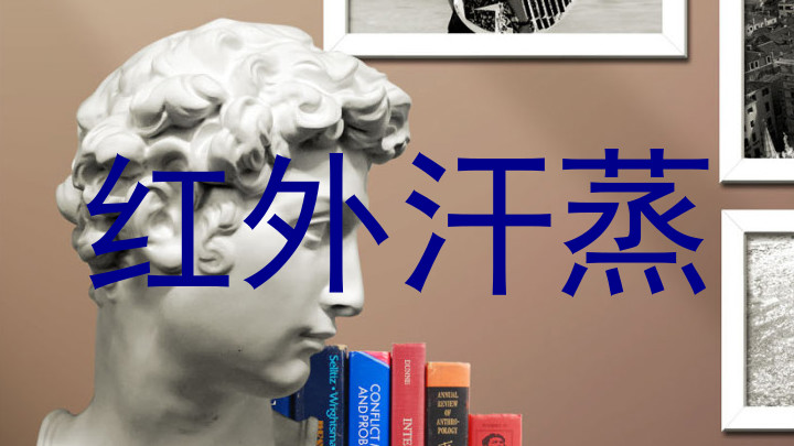 红外汗蒸