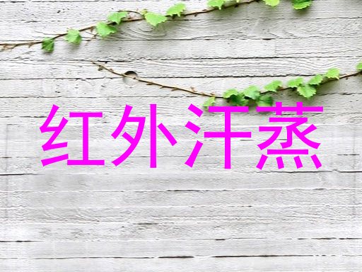 红外汗蒸