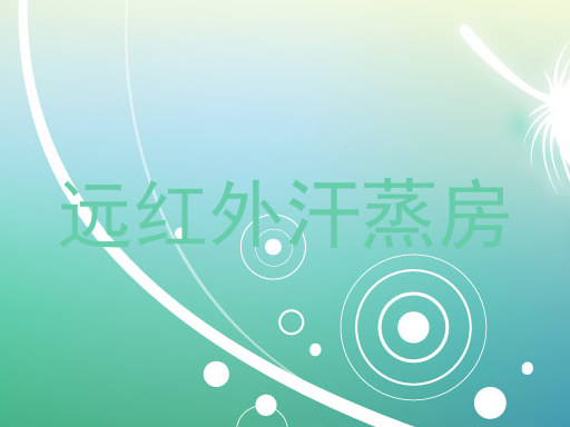 远红外汗蒸房