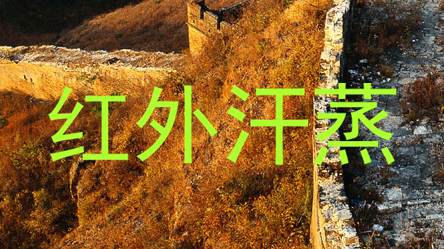 红外汗蒸