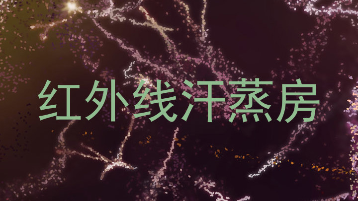 红外线汗蒸房