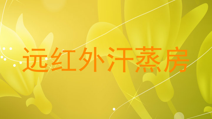 远红外汗蒸房