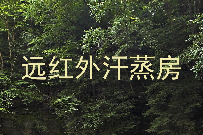 远红外汗蒸房