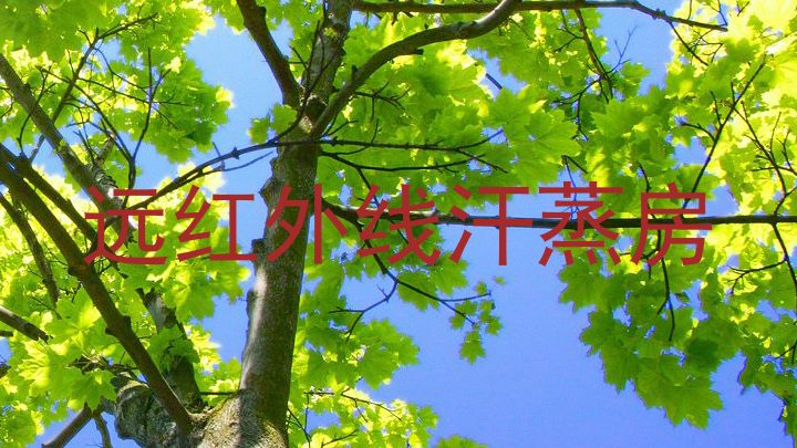 远红外线汗蒸房