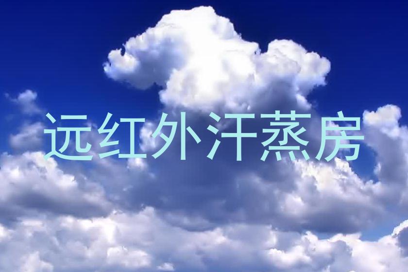 远红外汗蒸房