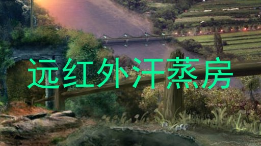 远红外汗蒸房