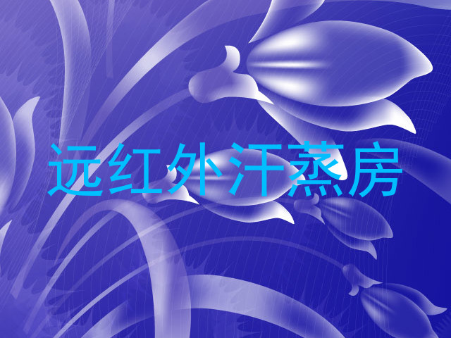 远红外汗蒸房