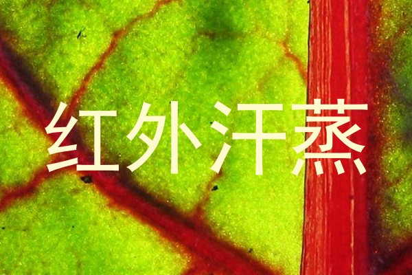 红外汗蒸