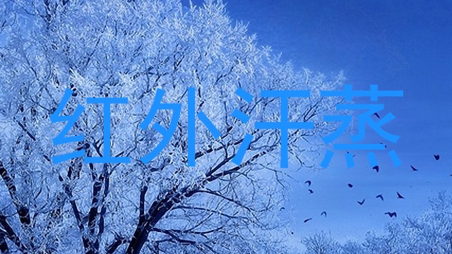 红外汗蒸