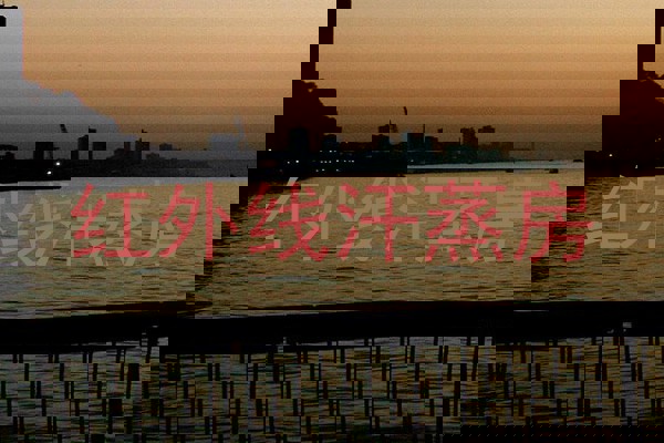 红外线汗蒸房