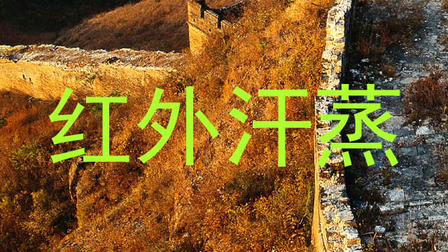 红外汗蒸
