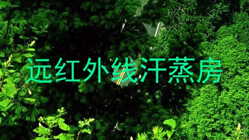 远红外线汗蒸房