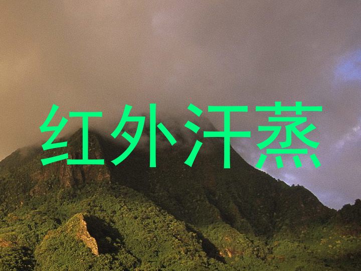 红外汗蒸