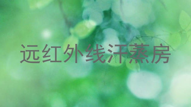 远红外线汗蒸房