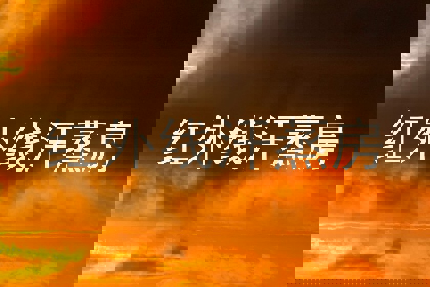 红外线汗蒸房