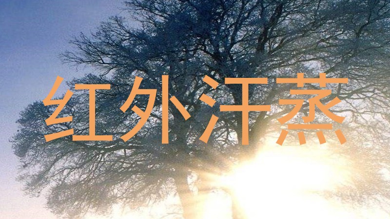 红外汗蒸