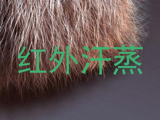 红外汗蒸