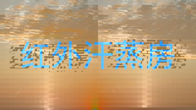红外汗蒸房