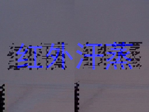 红外汗蒸