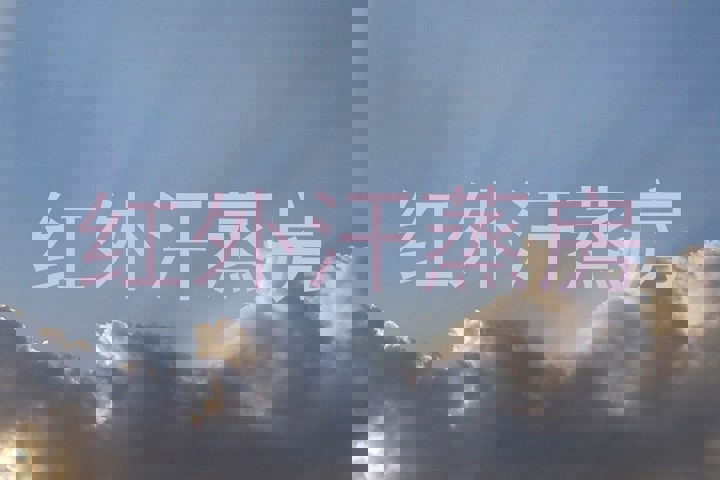 红外汗蒸房