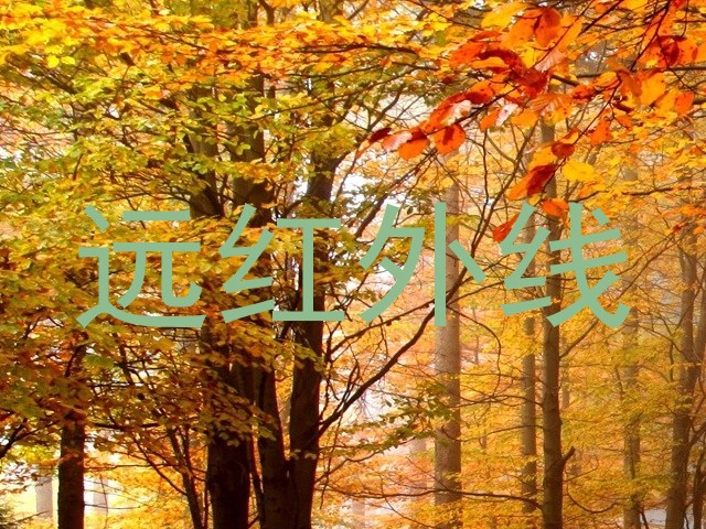 远红外线