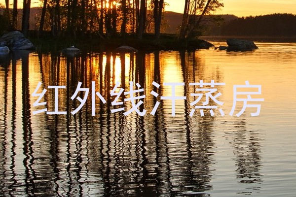 红外线汗蒸房