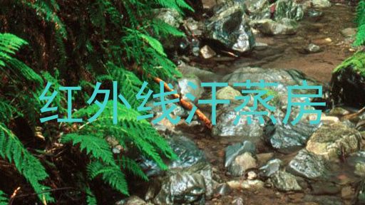 红外线汗蒸房