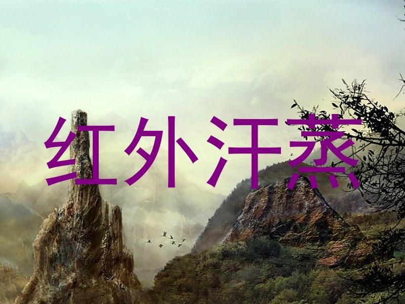 红外汗蒸