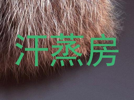 汗蒸房
