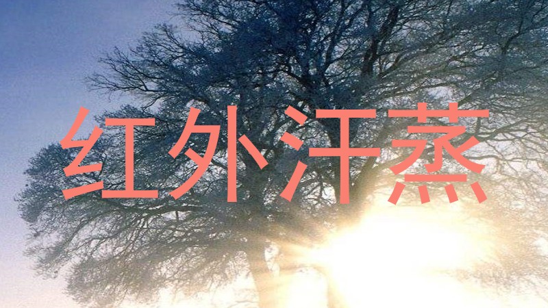 红外汗蒸