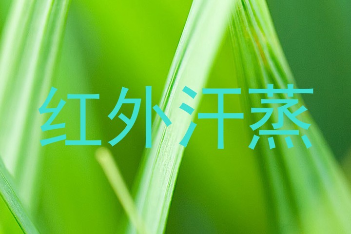 红外汗蒸