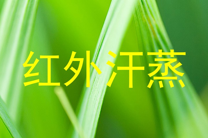 红外汗蒸