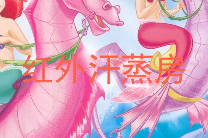 红外汗蒸房