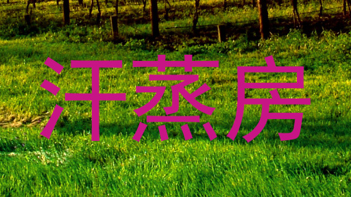汗蒸房