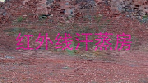 红外线汗蒸房