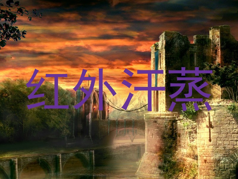 红外汗蒸